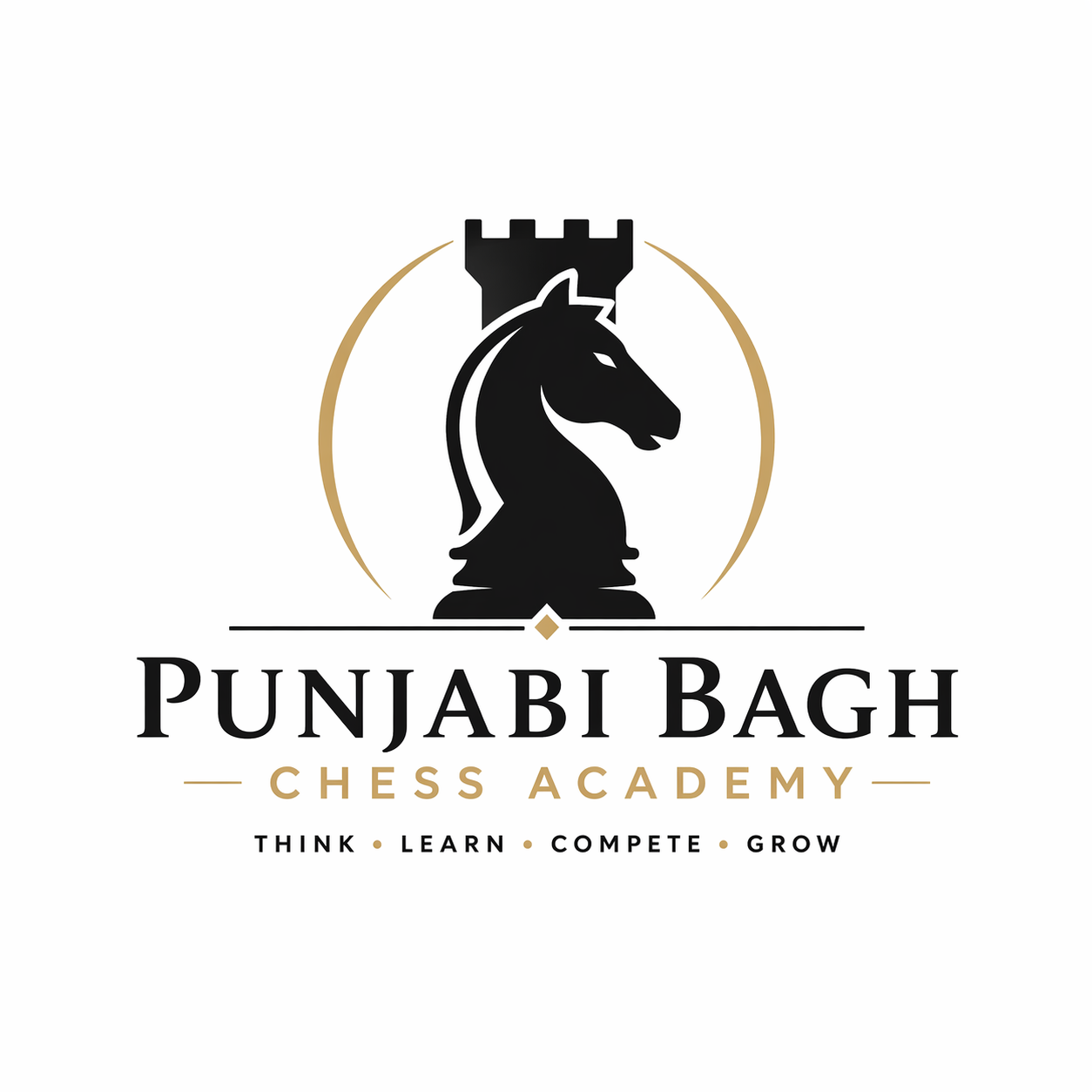Punjabi Bagh chess academy
